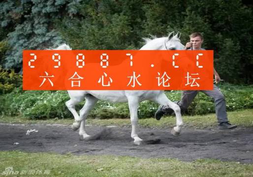 7777788888精准跑狗图,探索精准跑狗图，揭秘数字组合77777与88888的魅力