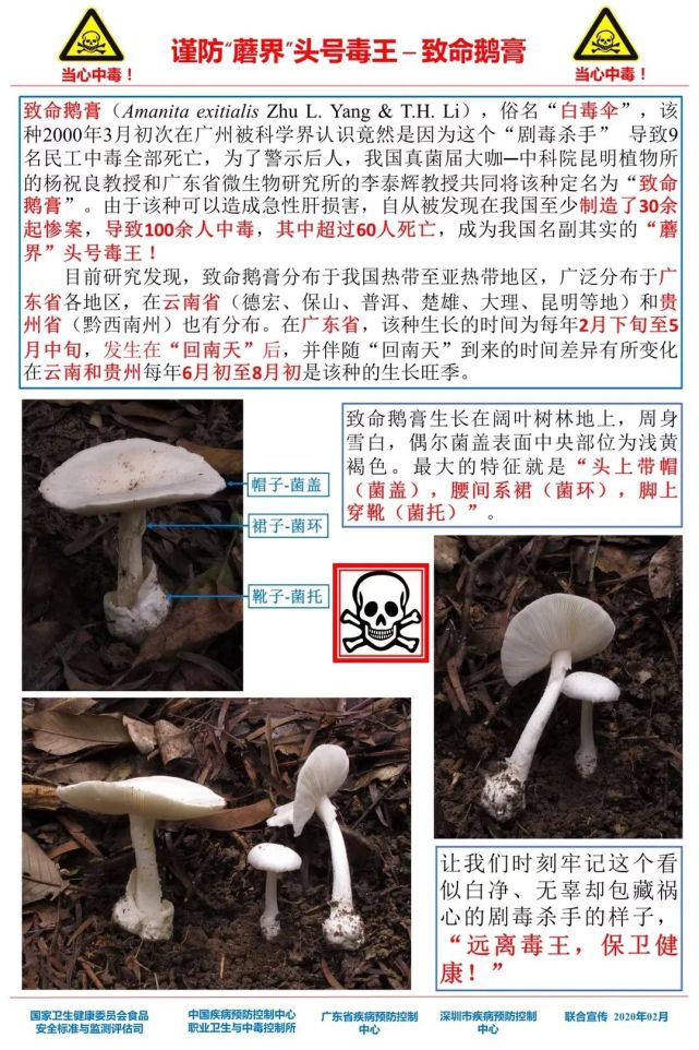 今天新澳门正版挂牌,关于今天新澳门正版挂牌的真相探讨——警惕犯罪风险