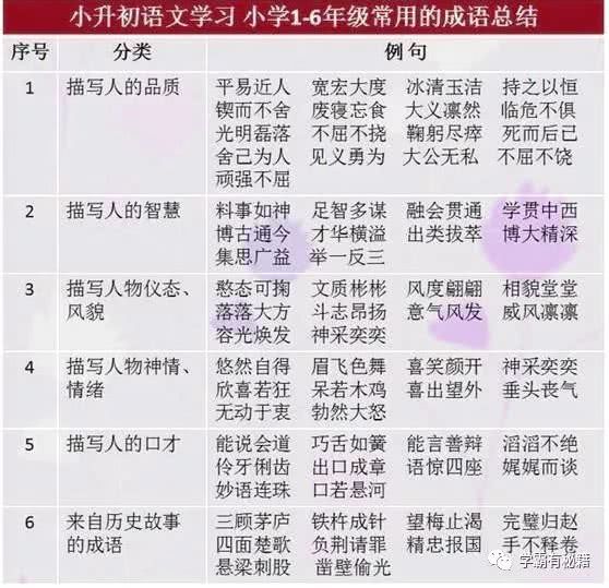 2024新澳免费资料成语平特,探索新澳，成语的魅力与平特现象