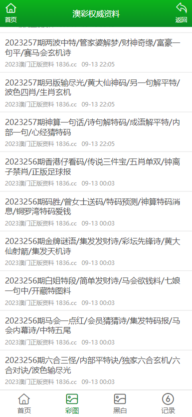 2024澳门正版资料免费大全,澳门正版资料免费大全，探索与启示（XXXX年展望）