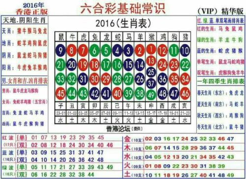 2024十二生肖49码表,揭秘2024十二生肖与数字彩票的奥秘，49码表全解析